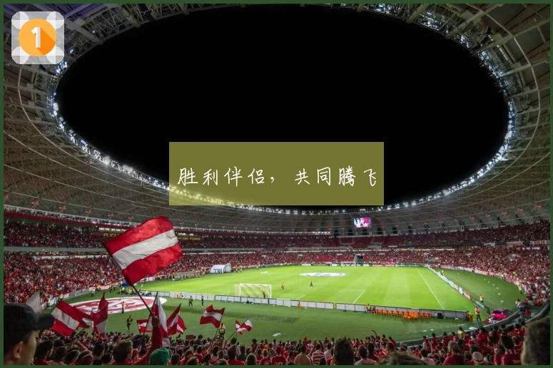 胜利伴侣，共同腾飞