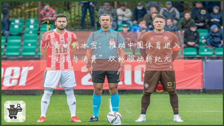 从青训到冰雪：推动中国体育进入“竞技与消费”双轮驱动新纪元